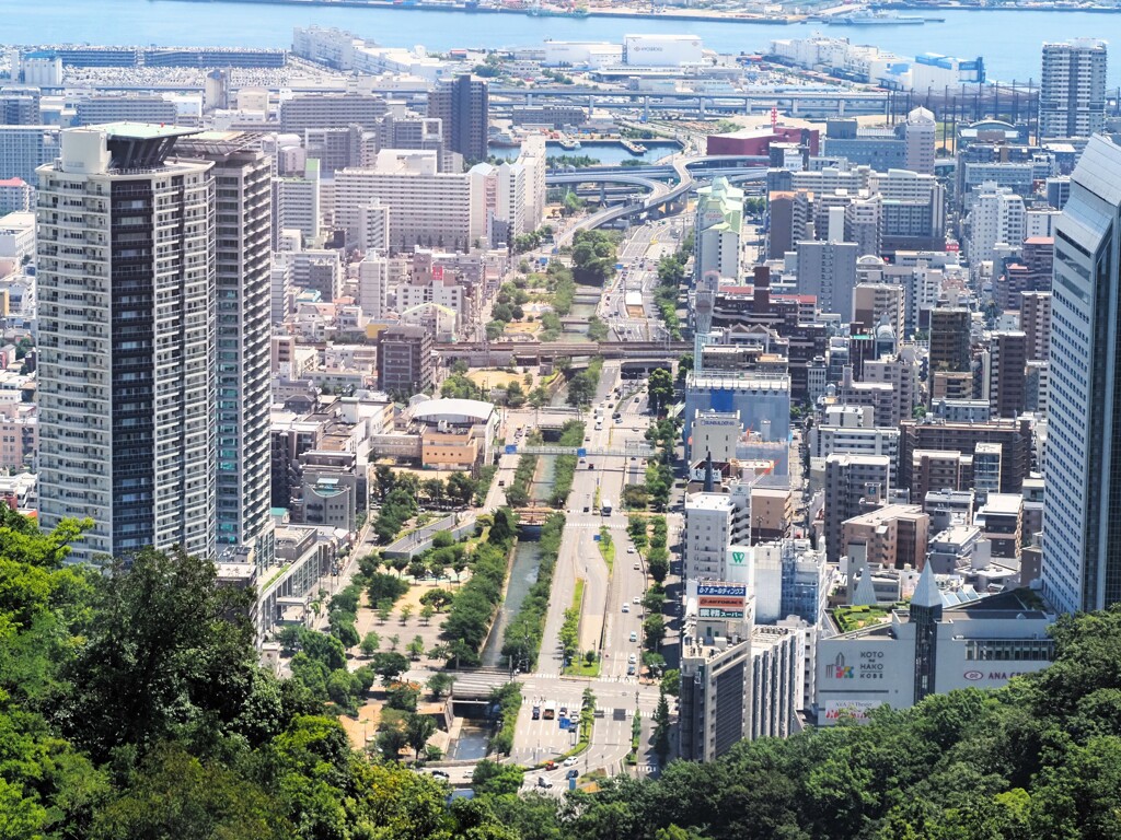 神戸の街と車