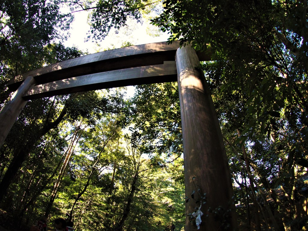 杜に立つ鳥居