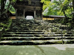 神護寺の石段