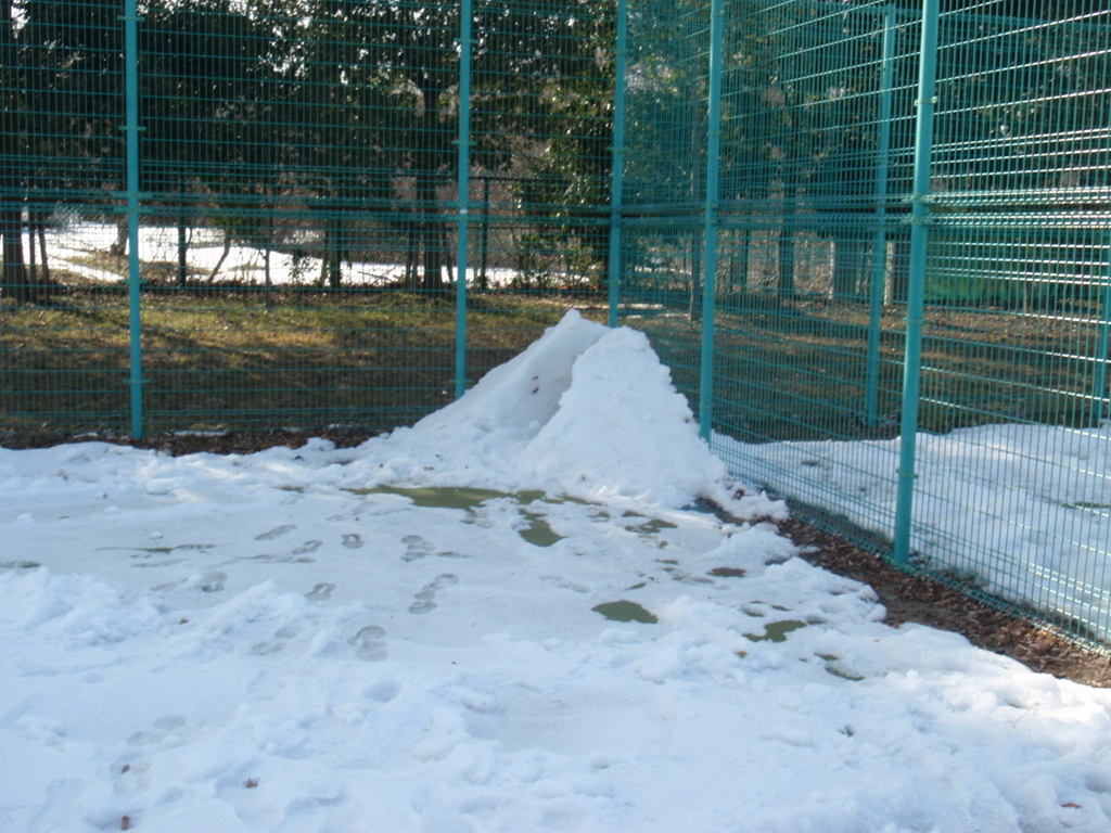 P2123487