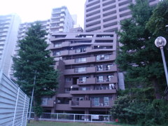 P8013661