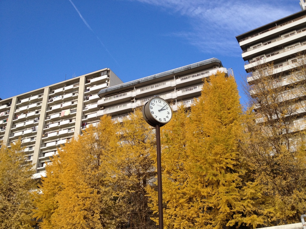 2011.11.27-6