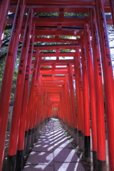 根津神社の千本鳥居