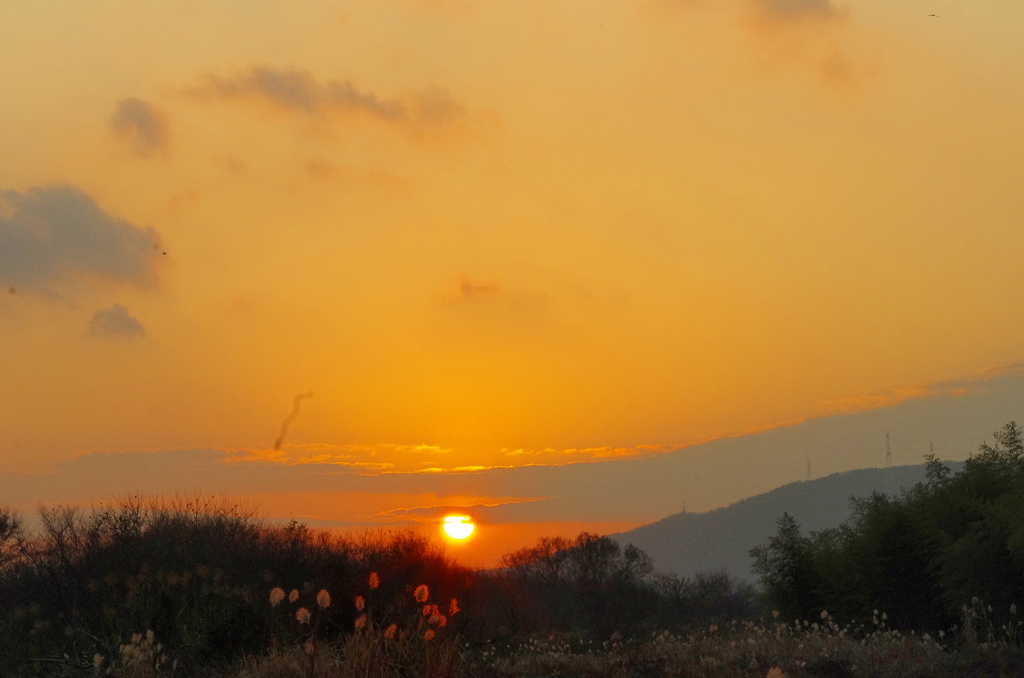 元日の夕陽