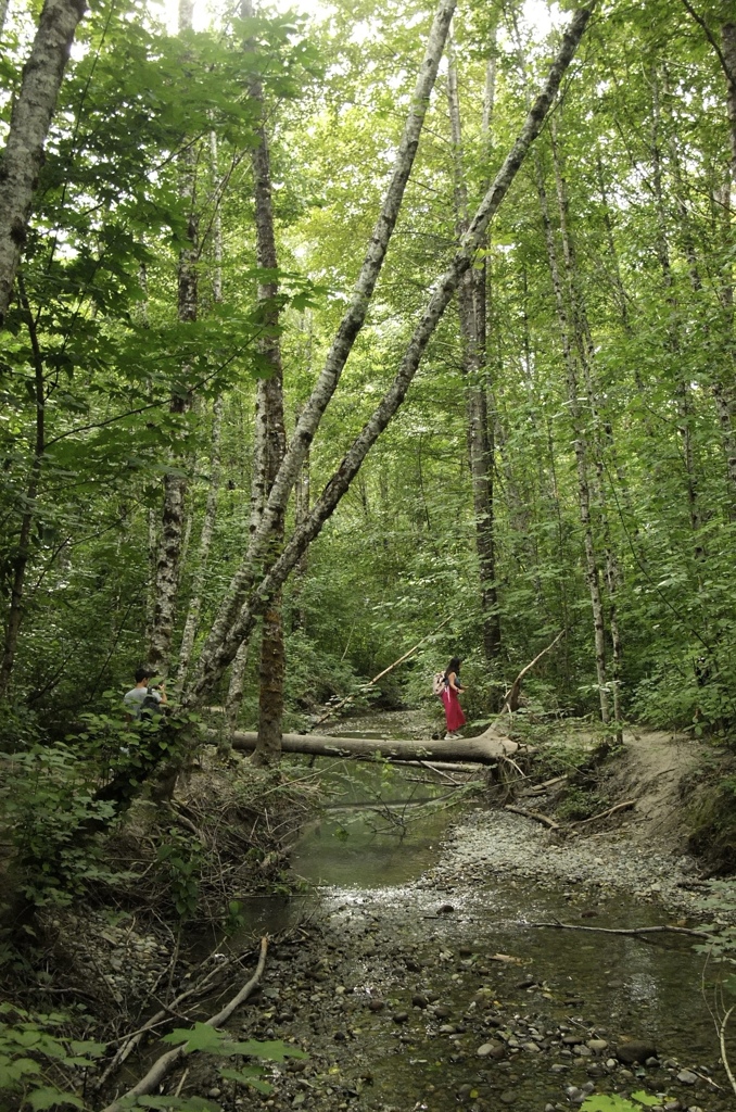 A girl walking on a log