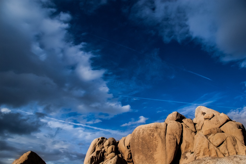 Joshua Tree