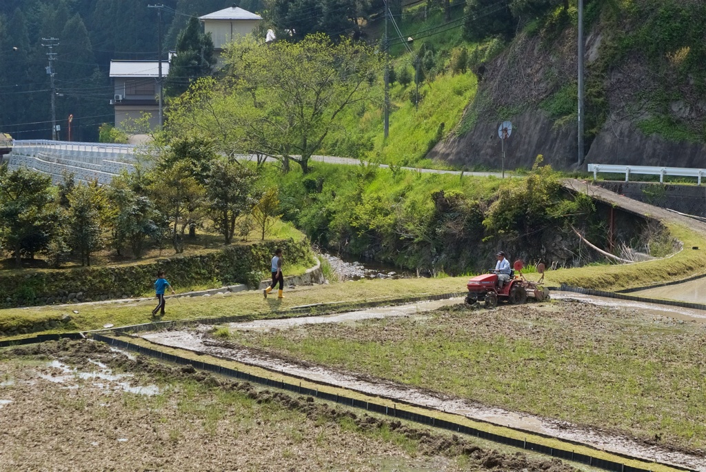 手伝い