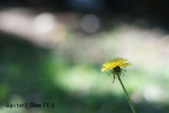 Jupiter3 50mm F1.5