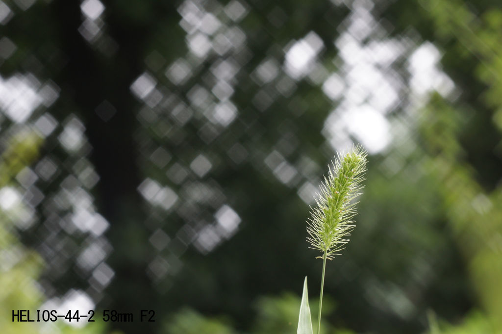 レンズ名：HELIOS-44-2 58mm F2