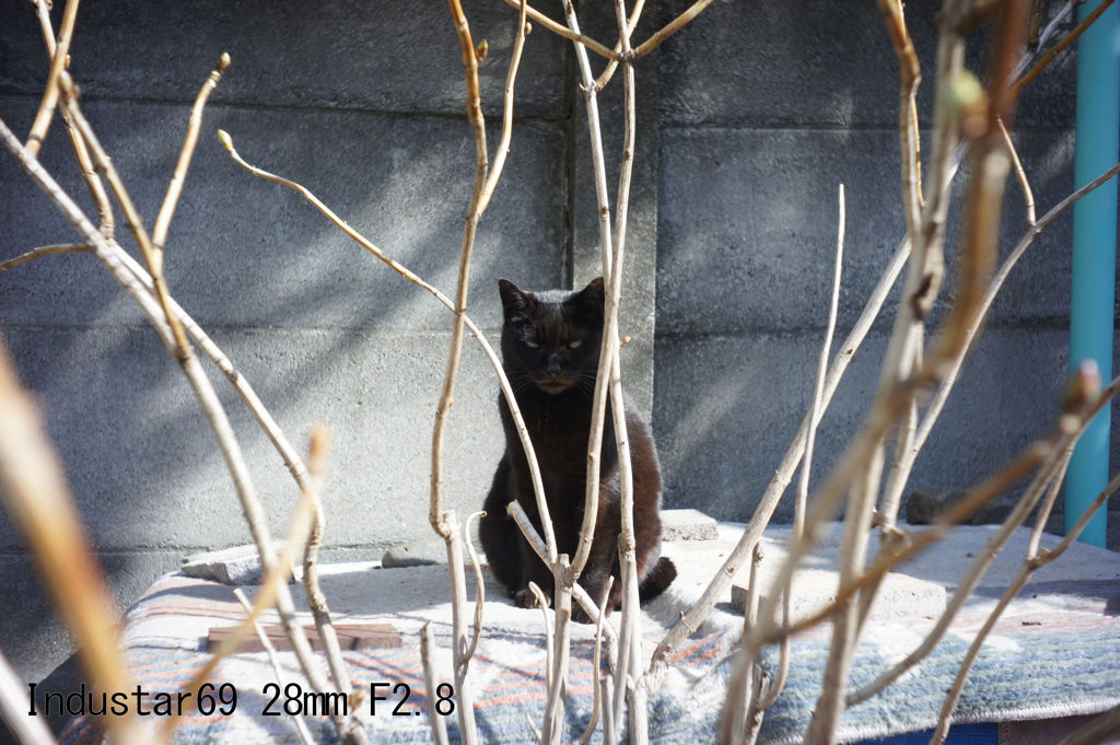 レンズ名：Industar69 28mm F2.8