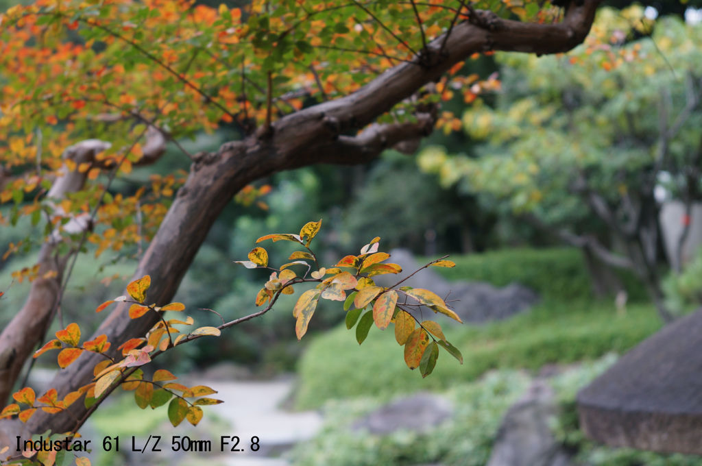レンズ名：Industar 61 L/Z 50mm F2.8