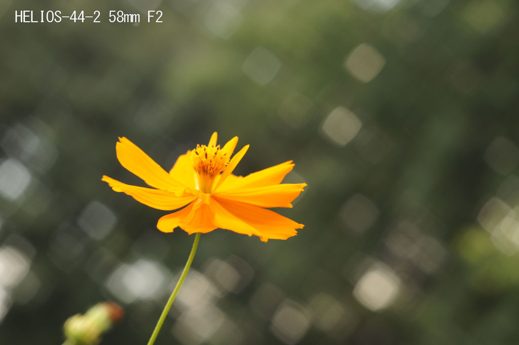 HELIOS-44-2 58mm F2