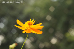 HELIOS-44-2 58mm F2
