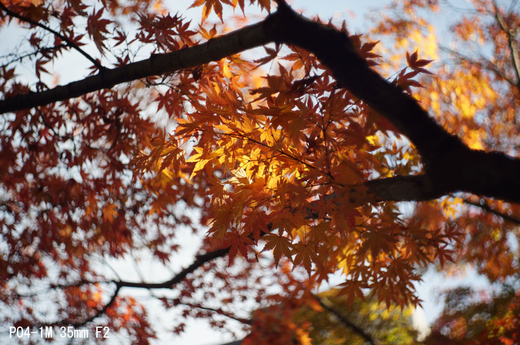 PO4-1M 35mm F2