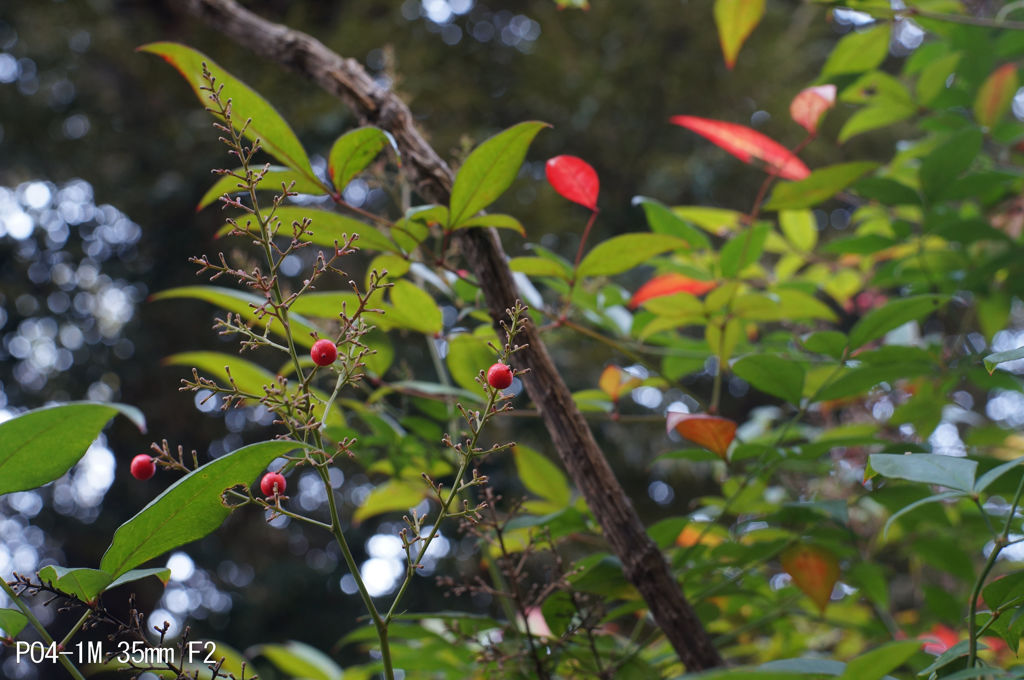 PO4-1M 35mm F2