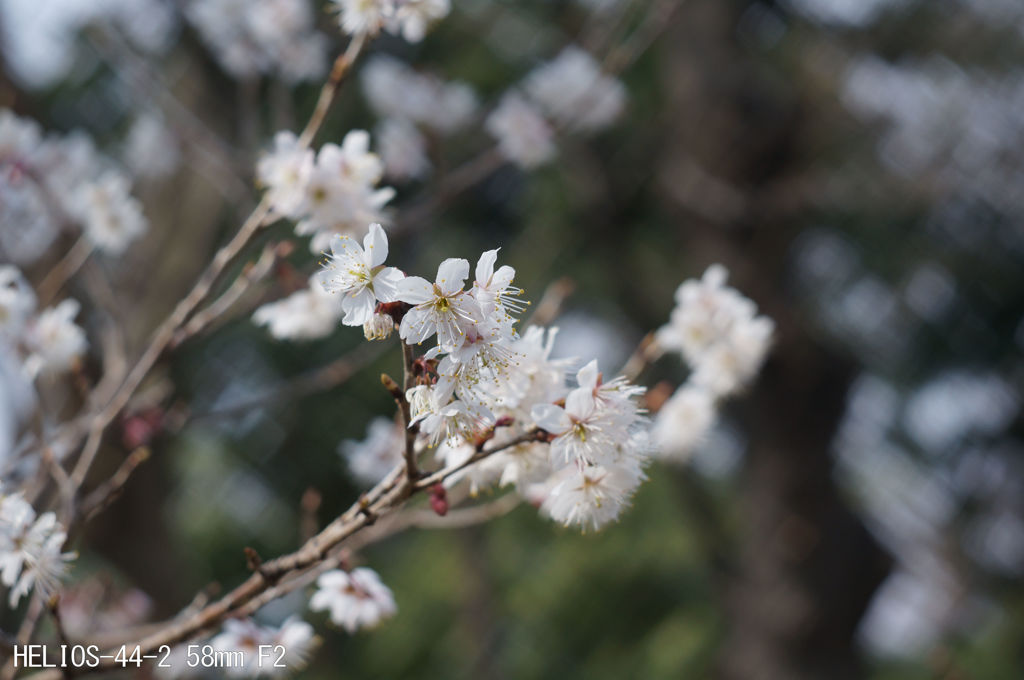 HELIOS-44-2 58mm F2