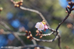 HELIOS-44-2 58mm F2