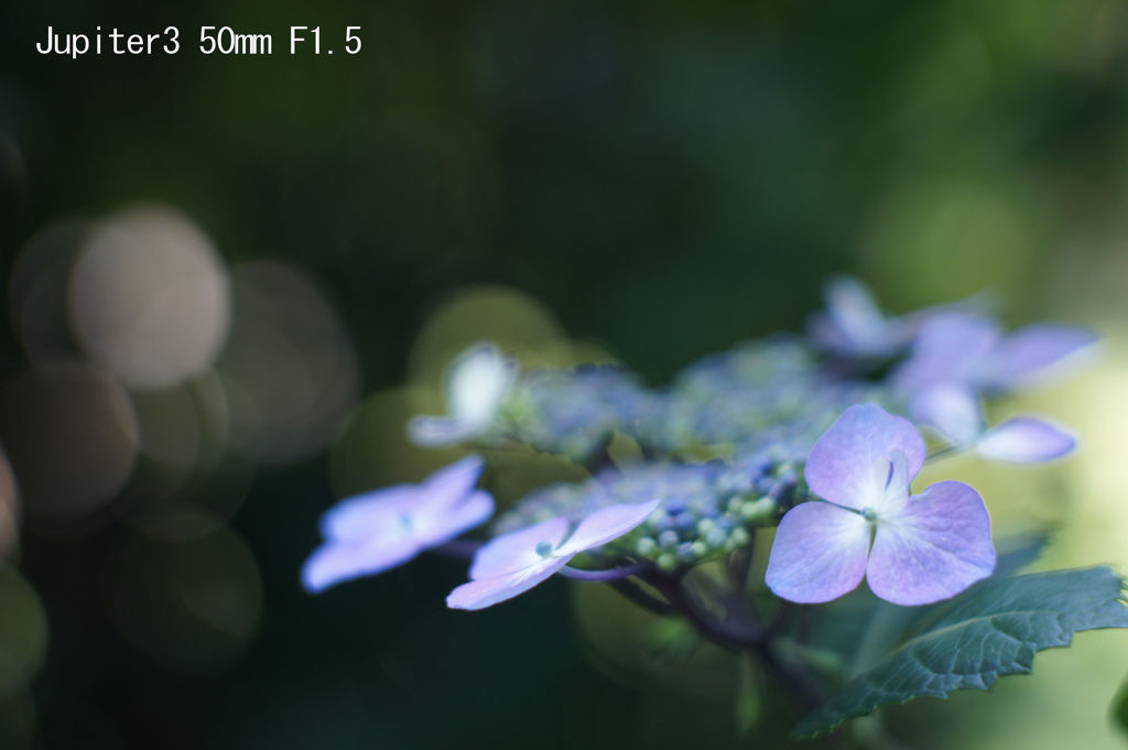 Jupiter3 50mm F1.5