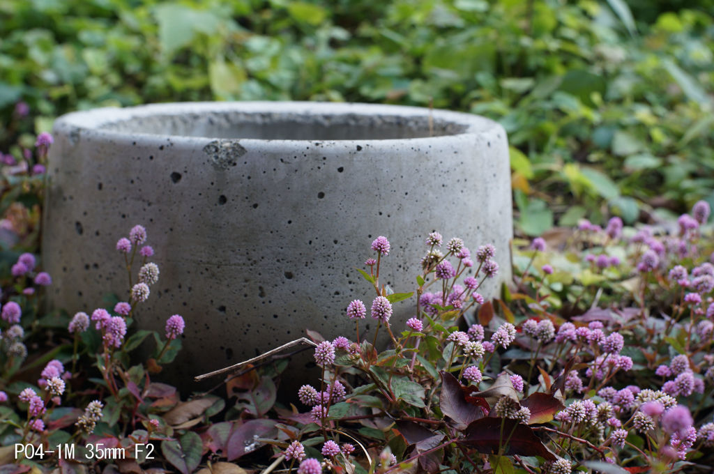PO4-1M 35mm F2