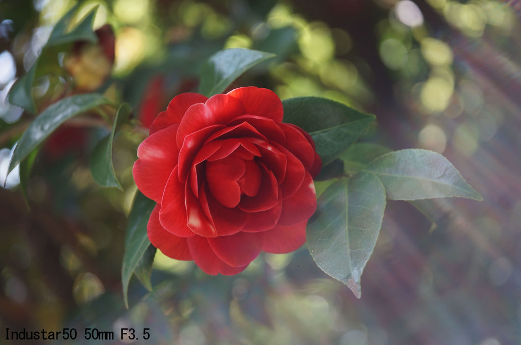 Industar50 50mm F3.5 沈胴式