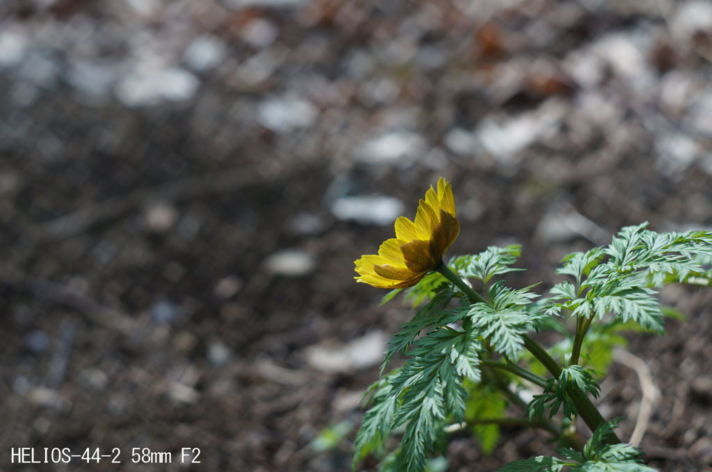 HELIOS-44-2 58mm F2