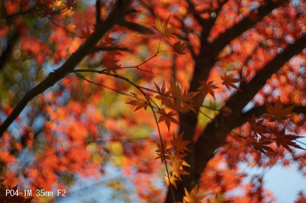 PO4-1M 35mm F2