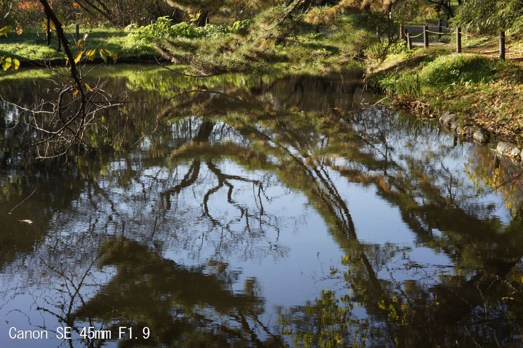 Canon SE 45mm F1.9