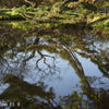 Canon SE 45mm F1.9