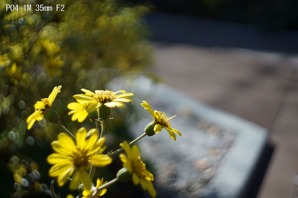 PO4-1M 35mm F2