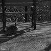 HELIOS-44-2 58mm F2