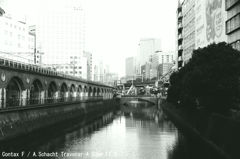 Contax F / Schacht Travenar 50mm F2.8