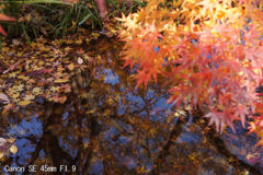 Canon SE 45mm F1.9