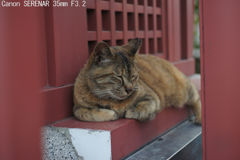 Canon SERENAR 35mm F3.2