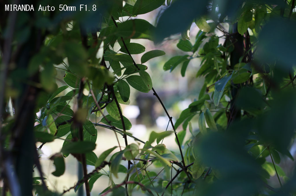 レンズ名：MIRANDA Auto 50mm F1.8