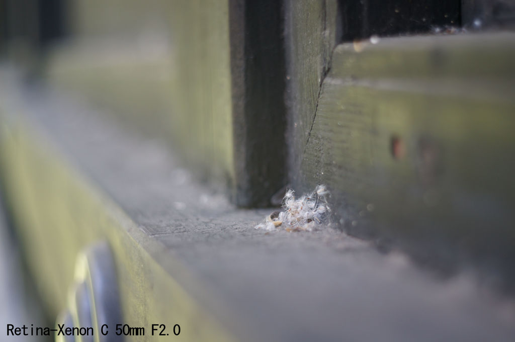 Retina-Xenon C 50mm F2.0