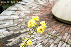 Canon SE 45mm F1.9