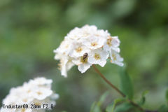 Industar69 28mm F2.8
