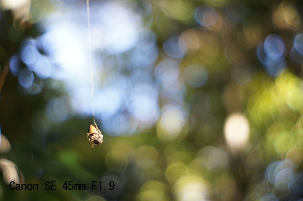 Canon SE 45mm F1.9