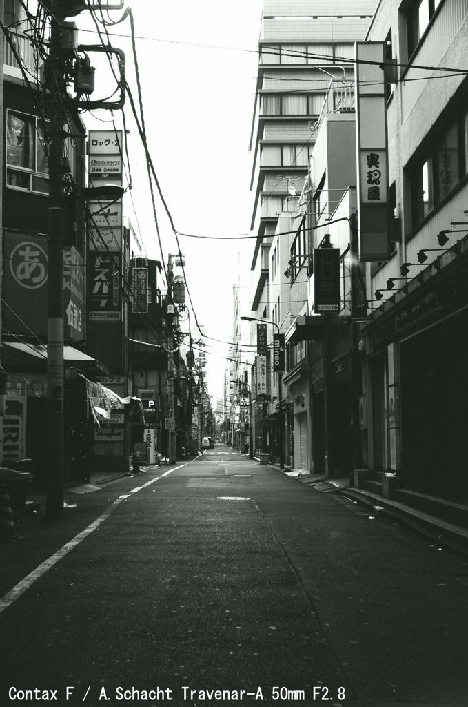 Contax F / Schacht Travenar 50mm F2.8