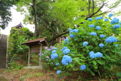 20170616