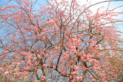 20170319