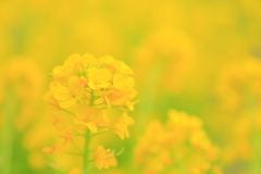 20170307