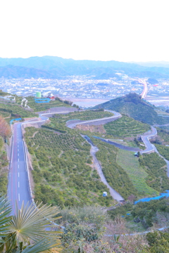 20170312