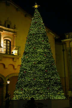 20161225