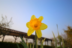 20170319