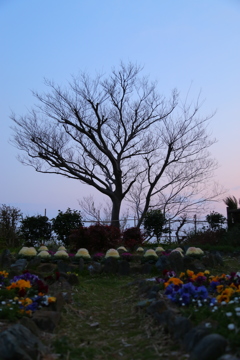 20170306