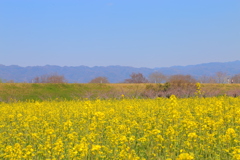 20170403