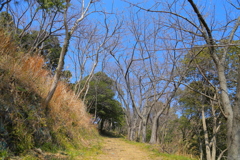 20170309
