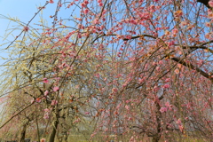 20170319