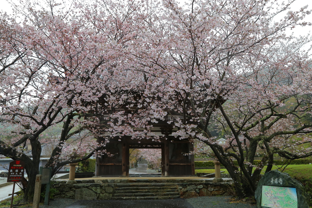 20170407